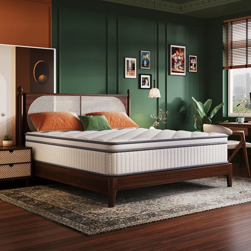 Gsleepee Queen Mattress, 10 Inch